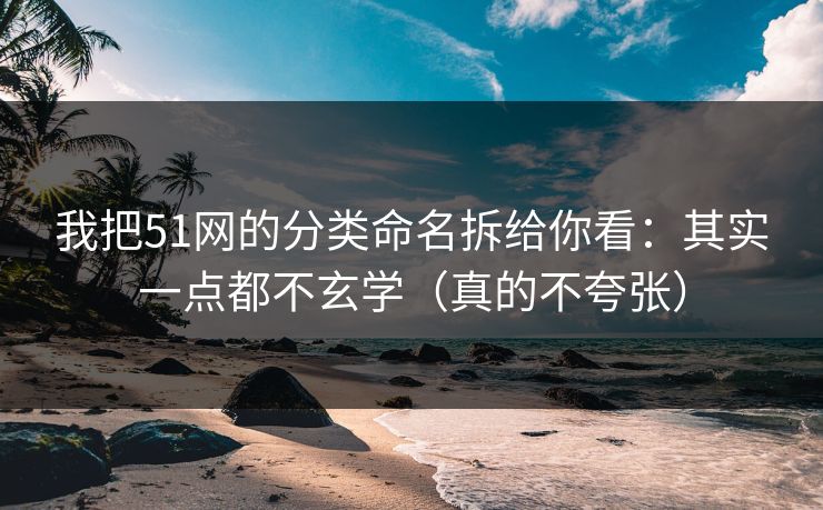 我把51网的分类命名拆给你看:其实一点都不玄学(真的不夸张) 我把51网的分类命名拆给你看:其实一点都不玄学(真的不夸张)
